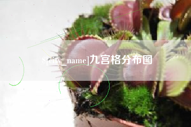 河池九宫格分布图