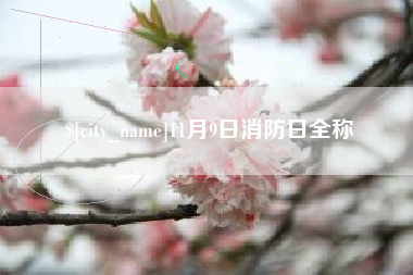 河池11月9日消防日全称