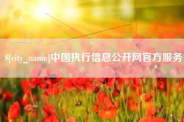河池中国执行信息公开网官方服务