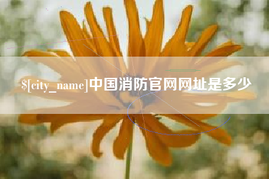 河池中国消防官网网址是多少