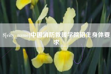 河池中国消防救援学院招生身体要求