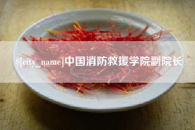 河池中国消防救援学院副院长