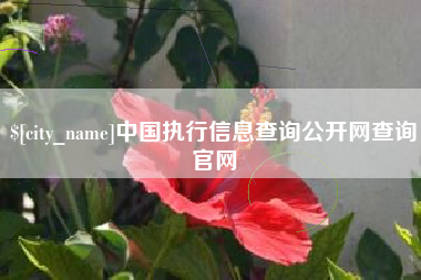 河池中国执行信息查询公开网查询官网