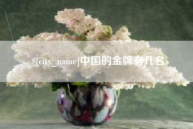 河池中国的金牌有几名