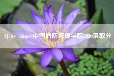 河池中国消防救援学院2020录取分