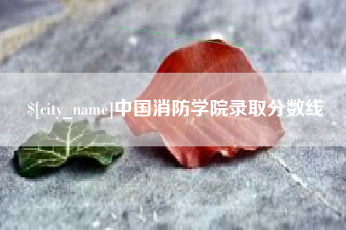 河池中国消防学院录取分数线