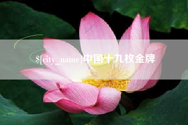 河池中国十九枚金牌