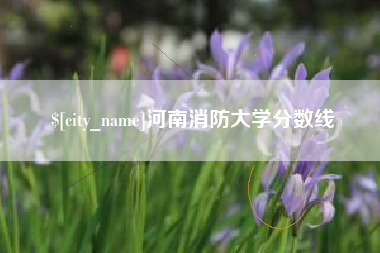 河池河南消防大学分数线