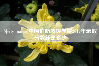 河池中国消防救援学院2019年录取分数线是多少
