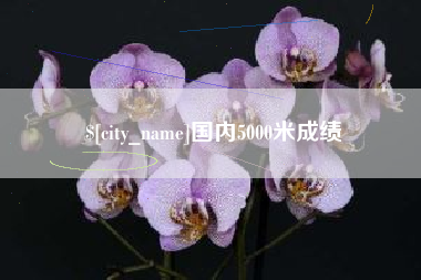 河池国内5000米成绩