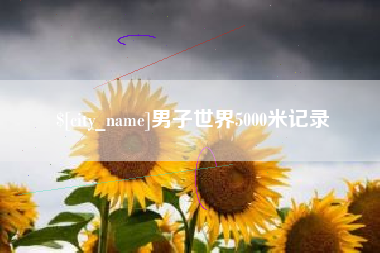 河池男子世界5000米记录