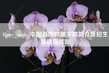 河池中国消防救援学院简介及招生章程指挥部