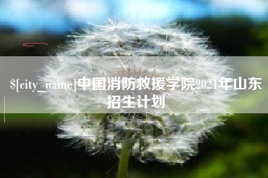 河池中国消防救援学院2021年山东招生计划