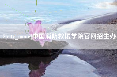 河池中国消防救援学院官网招生办