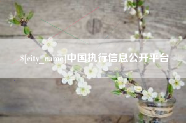 河池中国执行信息公开平台