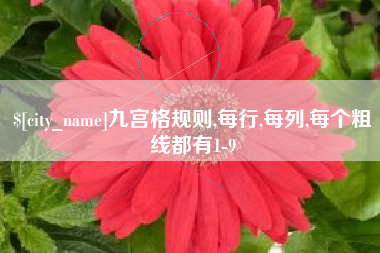 河池九宫格规则,每行,每列,每个粗线都有1-9