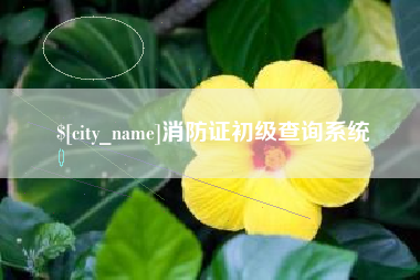 河池消防证初级查询系统