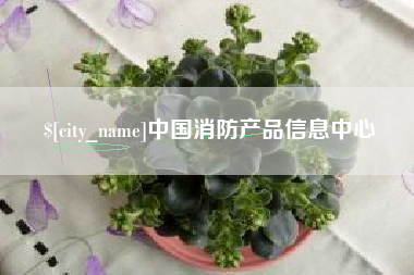 河池中国消防产品信息中心