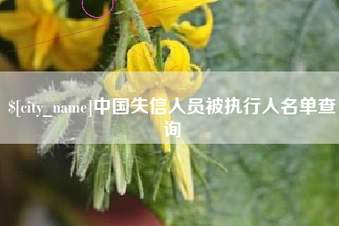 河池中国失信人员被执行人名单查询