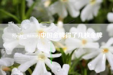 河池中国金牌得了几枚金牌