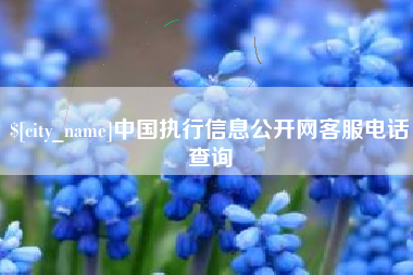 河池中国执行信息公开网客服电话查询