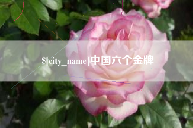 河池中国六个金牌