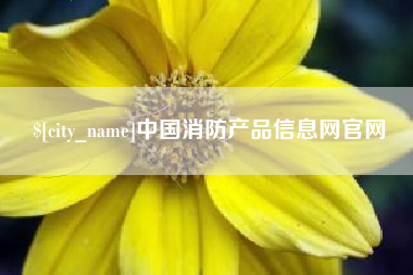 河池中国消防产品信息网官网