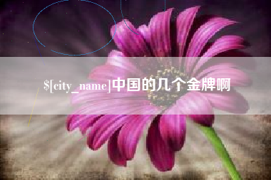 河池中国的几个金牌啊