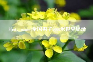 河池全国男子5000米世界纪录