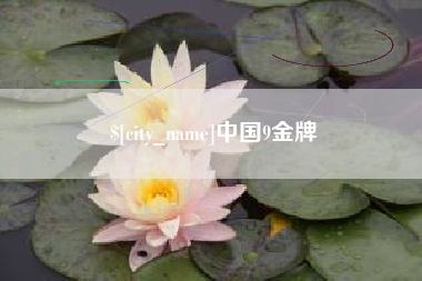 河池中国9金牌