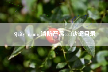 河池消防产品cccf认证目录