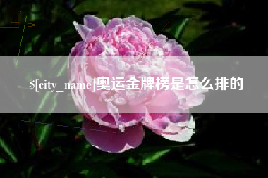 河池奥运金牌榜是怎么排的