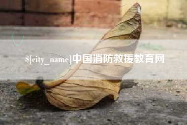 河池中国消防救援教育网