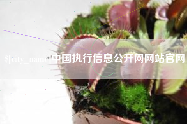 河池中国执行信息公开网网站官网