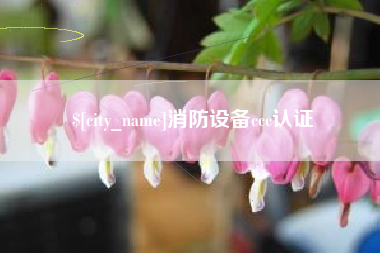 河池消防设备ccc认证