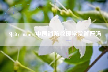河池中国消防救援学院管严吗