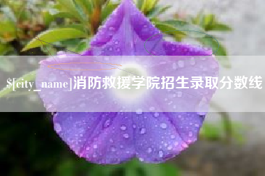 河池消防救援学院招生录取分数线