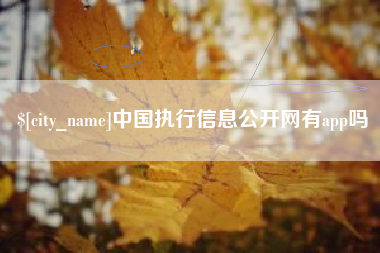 河池中国执行信息公开网有app吗