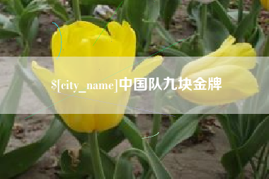 河池中国队九块金牌