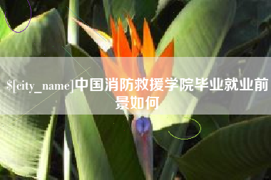 河池中国消防救援学院毕业就业前景如何