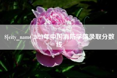 河池2021年中国消防学院录取分数线