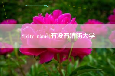 河池有没有消防大学