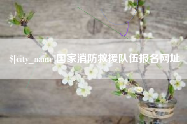 河池国家消防救援队伍报名网址