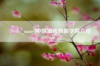 河池中国消防救援学院介绍