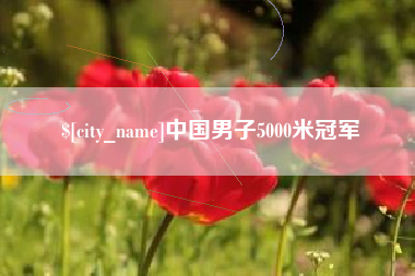 河池中国男子5000米冠军