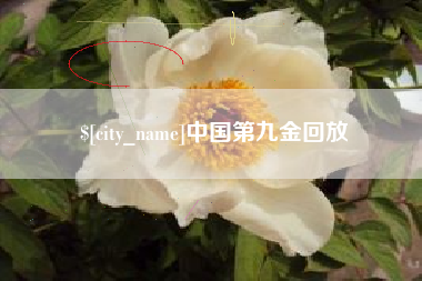 河池中国第九金回放