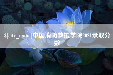河池中国消防救援学院2021录取分数