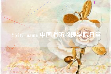 河池中国消防救援学院日常