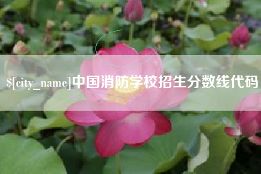 河池中国消防学校招生分数线代码