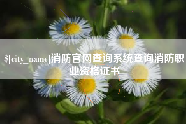河池消防官网查询系统查询消防职业资格证书